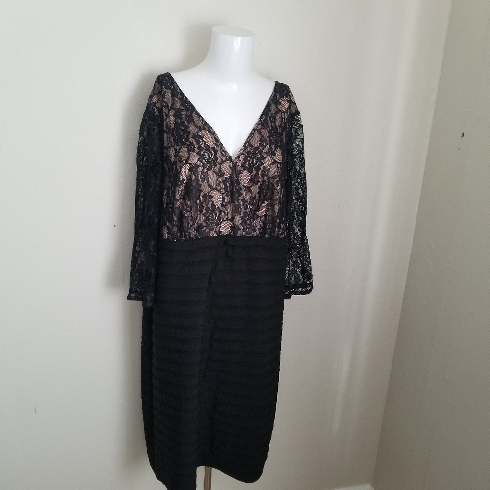 Adrianna Papell Black and Nude Lace Long Sleeve Dress